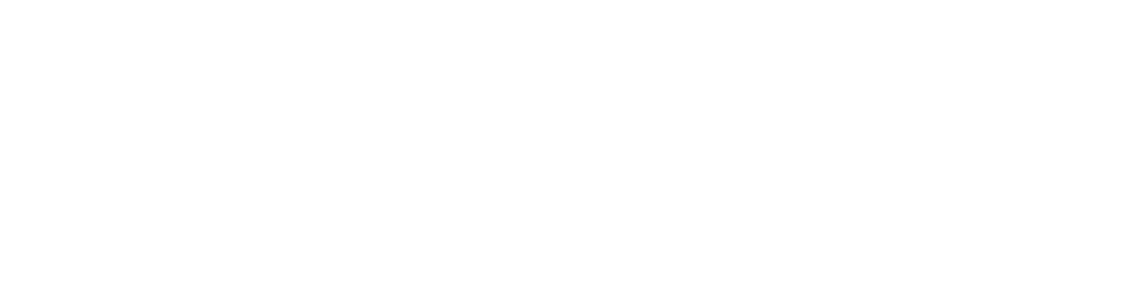 11èmes Rencontres Internationales